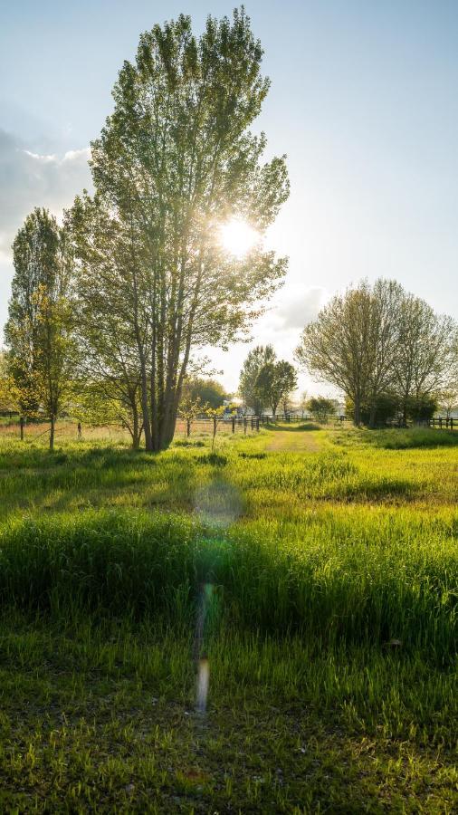 Juweeltje Vakantiewoning Op Prachtig Landgoed Villa